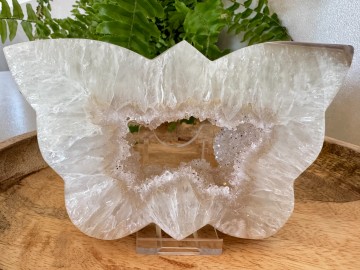 Agaat vlinder groot2