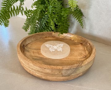 Selenietschaal vlinder